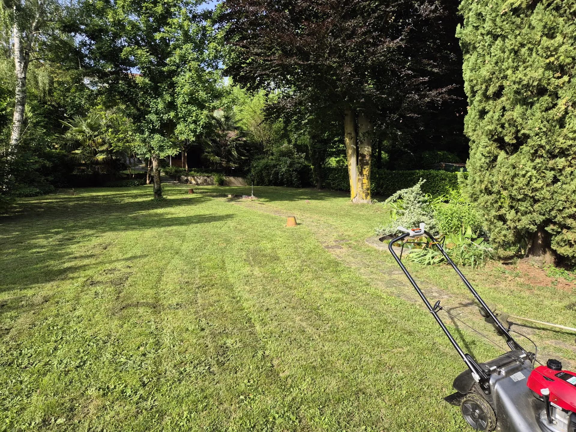 Grand jardin arboré fraîchement tondu à Albertville, en Savoie